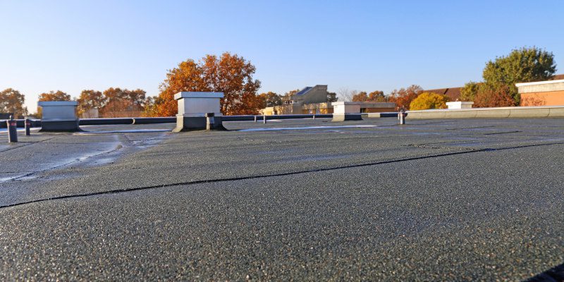 Three Flat Roof Maintenance Tips You Should Know