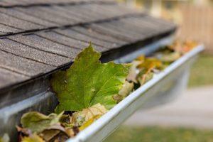 Why Spring Gutter Cleaning Is Important