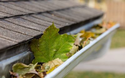 Why Spring Gutter Cleaning Is Important